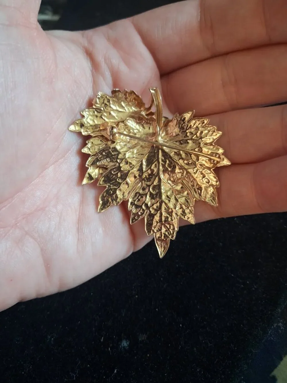 Napier Leaf brooch